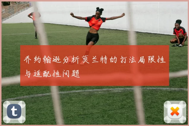 乔约翰逊分析莫兰特的打法局限性与适配性问题