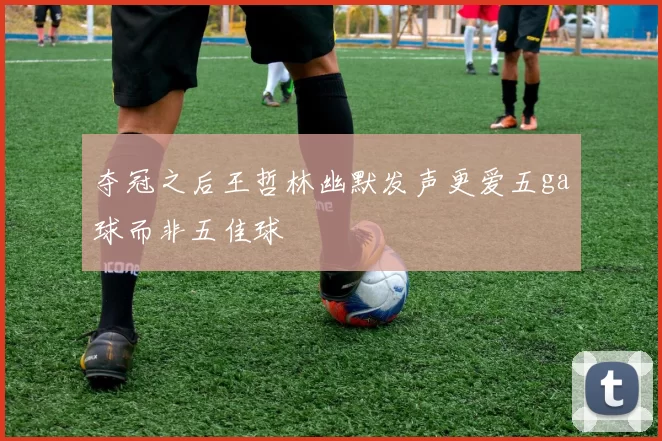 夺冠之后王哲林幽默发声更爱五ga球而非五佳球